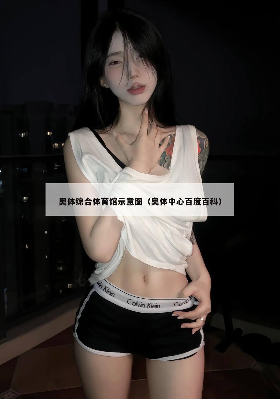 奥体综合体育馆示意图（奥体中心百度百科）